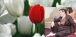 پێشمەرگەیەکی دێرینی كومەڵە ماڵئاوایی لە ژیان كڕد