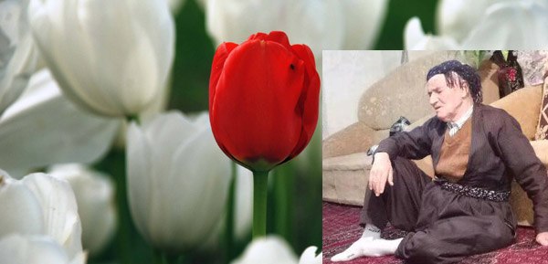پێشمەرگەیەکی دێرینی كومەڵە ماڵئاوایی لە ژیان كڕد پێشمەرگەیەکی دێرینی كومەڵە ماڵئاوایی لە ژیان كڕد