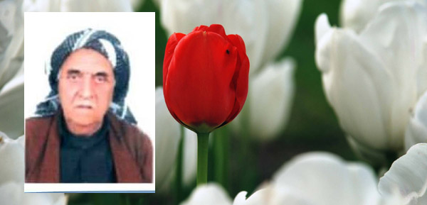 خۆشەویستێكی دێرینی كۆمەڵە ماڵئاوایی لە ژیان كرد خۆشەویستێكی دێرینی كۆمەڵە ماڵئاوایی لە ژیان كرد