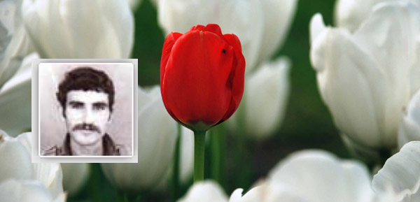 دایكی هاوڕێیەكی گیانبەختكردوی كۆمەڵە ماڵئاوایی لە ژیان كرد دایكی هاوڕێیەكی گیانبەختكردوی كۆمەڵە ماڵئاوایی لە ژیان كرد
